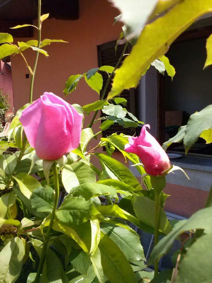 Bed and Breakfast Le Ginestre Caselle Torinese Exterior foto